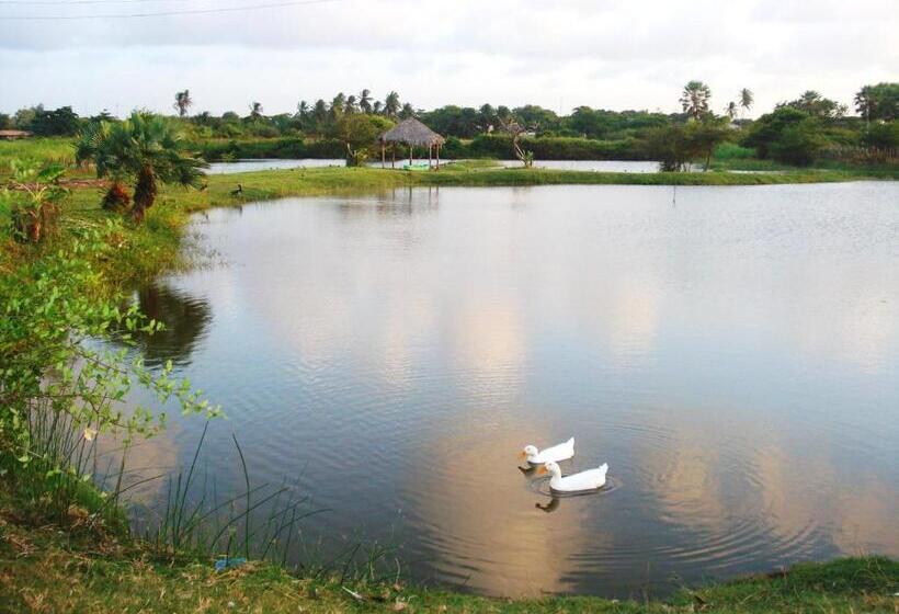 בית מלון כפרי Delta Park