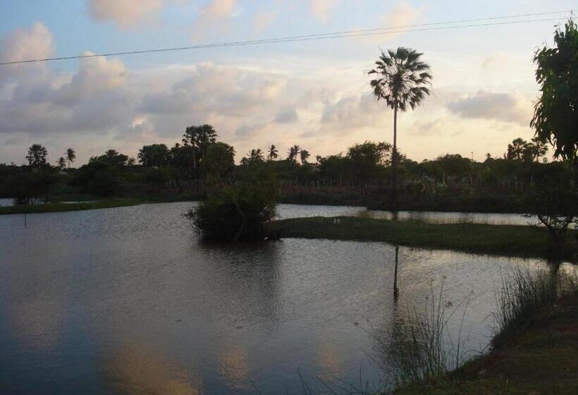 בית מלון כפרי Delta Park