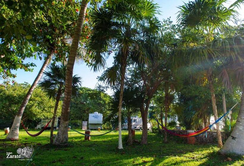 호텔 Eco Cabañas Cancún