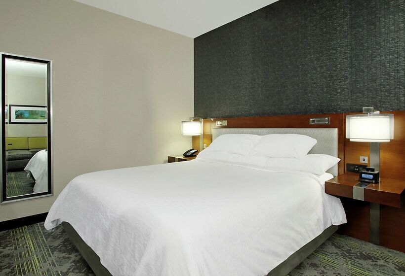 호텔 Embassy Suites By Hilton Pittsburgh Downtown