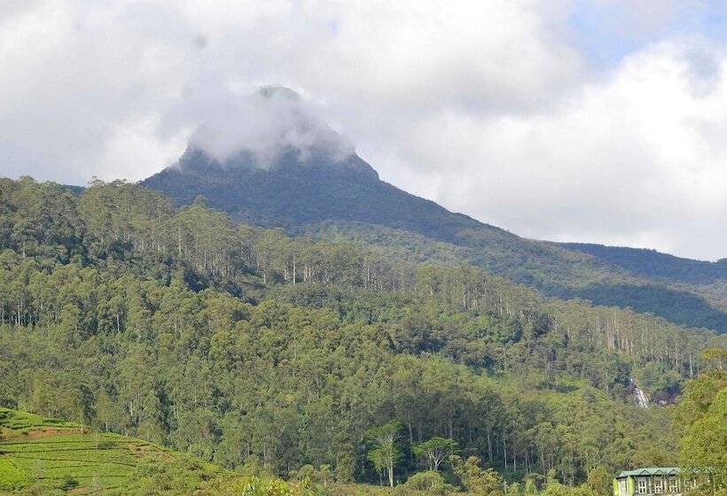 ホテル Adams Peak Grand