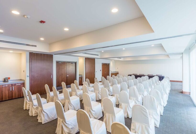 酒店 Hampton Inn & Suites By Hilton Los Cabos