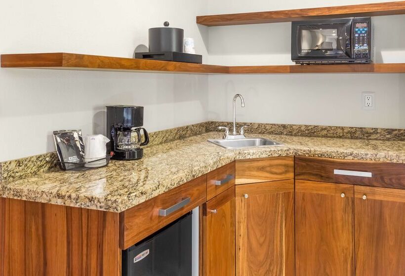 酒店 Hampton Inn & Suites By Hilton Los Cabos