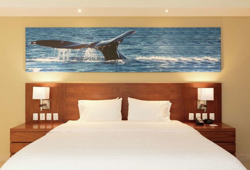 酒店 Hampton Inn & Suites By Hilton Los Cabos