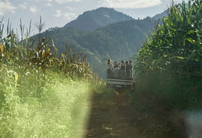 בית מלון כפרי Sirita