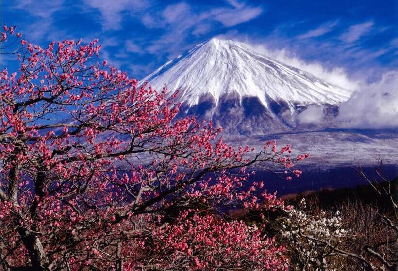 호텔 Kyukamura Fuji