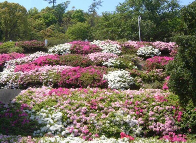 בית מלון כפרי Kyukamura Setouchi-toyo