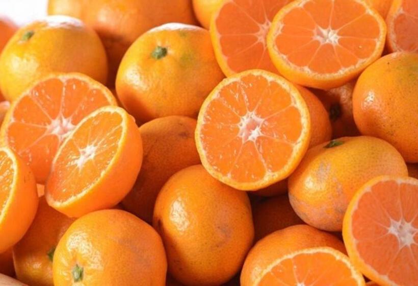 בית מלון כפרי Kyukamura Setouchi-toyo