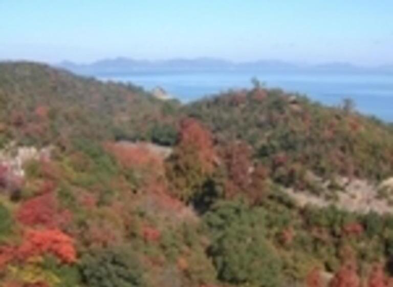 فندق Kyukamura Setouchi-toyo