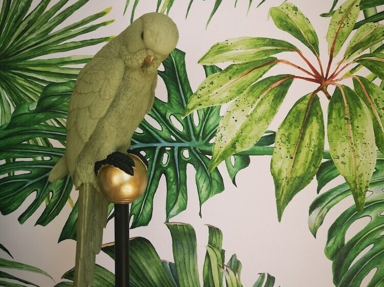 בית מלון כפרי La Stella Stay