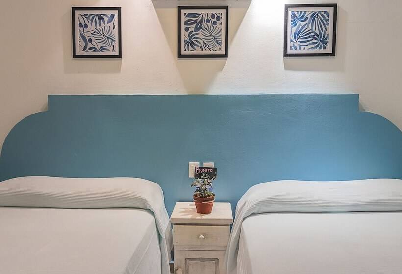 酒店 Lagoon  Pet Friendly