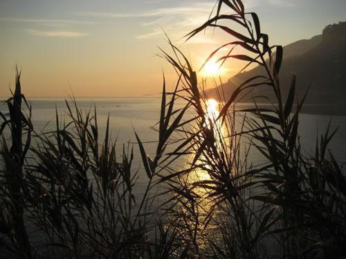 Отель Maison Raphael