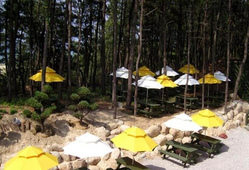 فندق Mangsang Haeorum Family