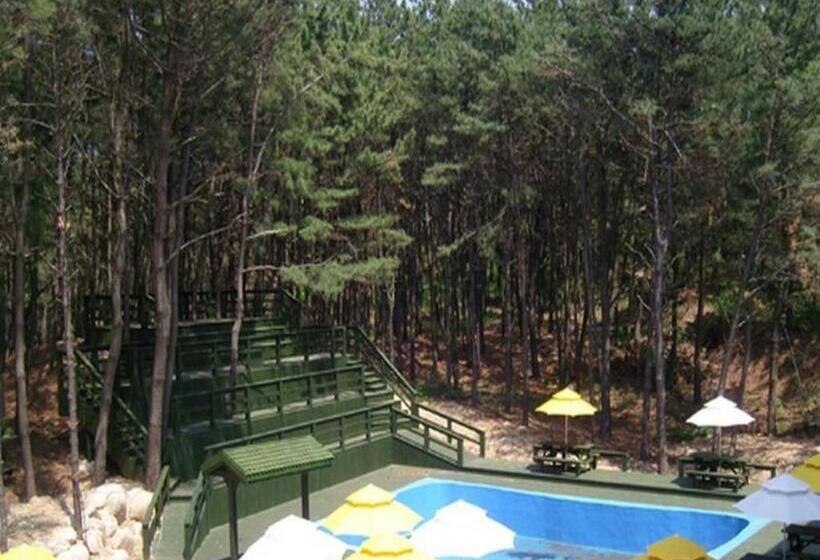 فندق Mangsang Haeorum Family