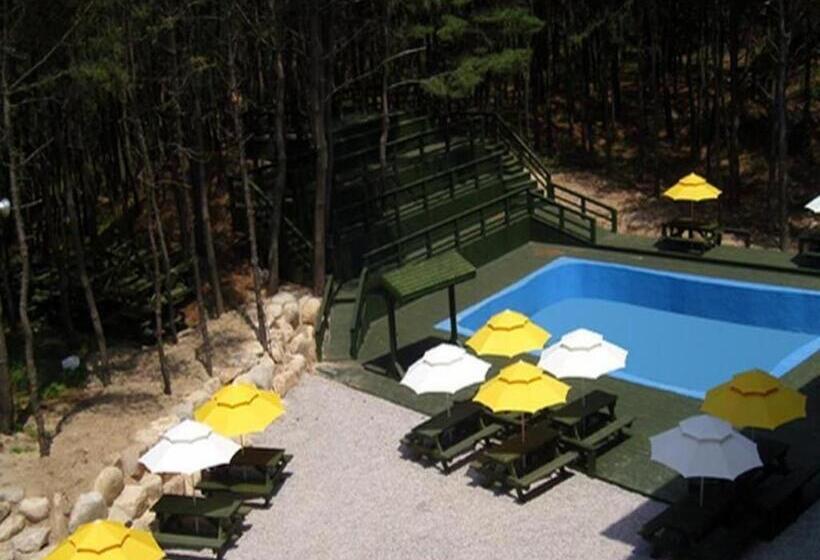 فندق Mangsang Haeorum Family