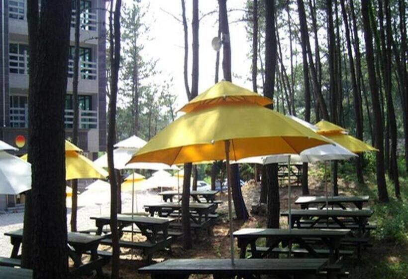 فندق Mangsang Haeorum Family