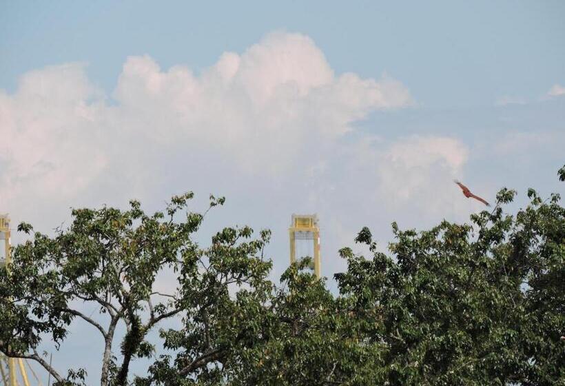 בית מלון כפרי Merlin