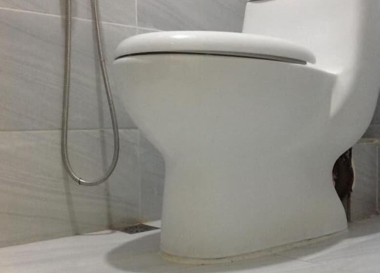 בית מלון כפרי Merlin