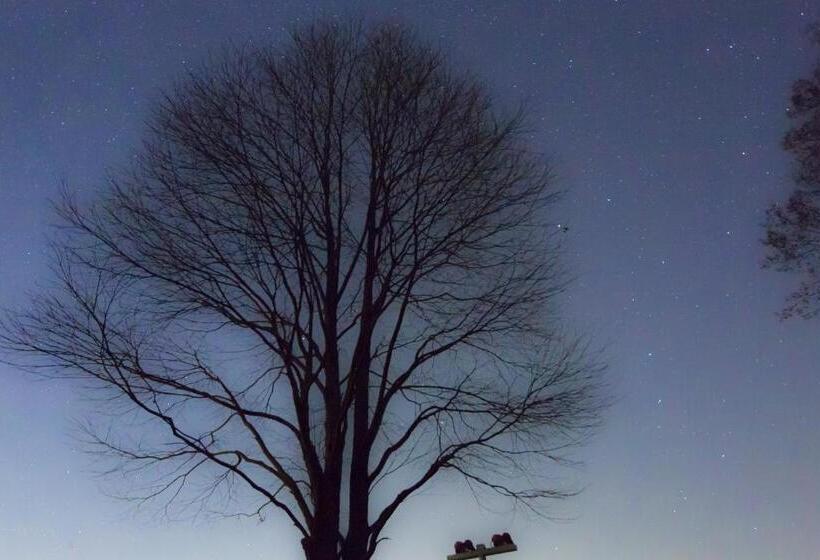 בית מלון כפרי Minami Aso Luna Observatory Auberge Mori No Atelier