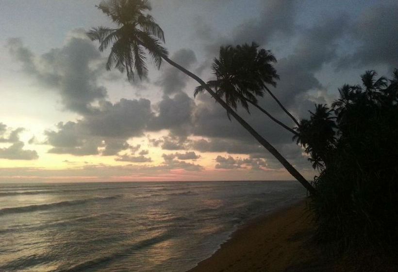 فندق Ocean Ripples Resort