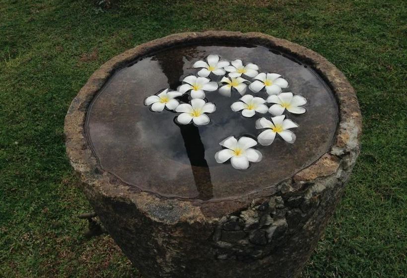 فندق Ocean Ripples Resort