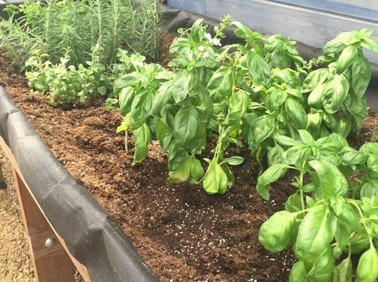 호텔 Okoboji Commons