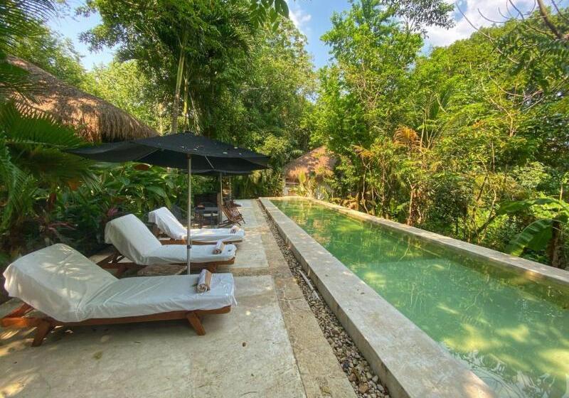 酒店 Piedra De Agua Palenque