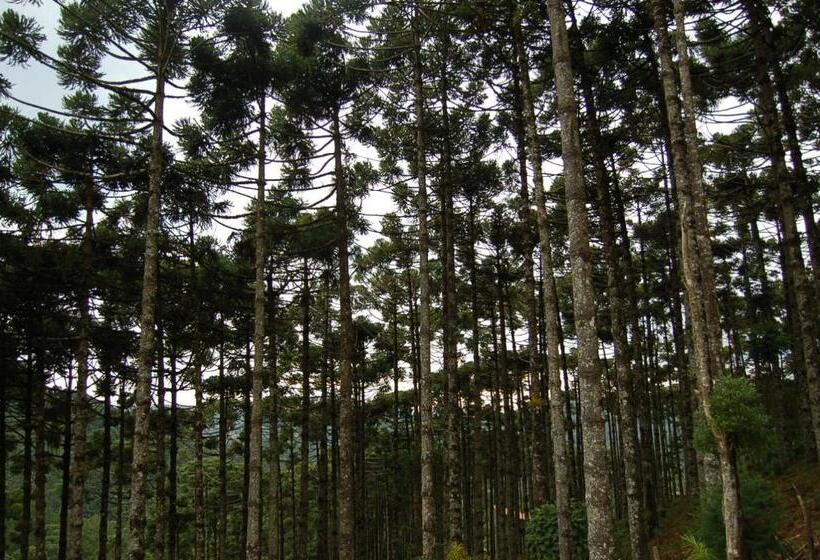 Отель Pousada ágape