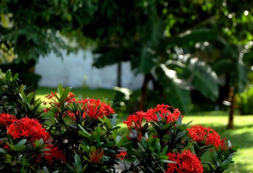 酒店 Pousada Salvador Paradise