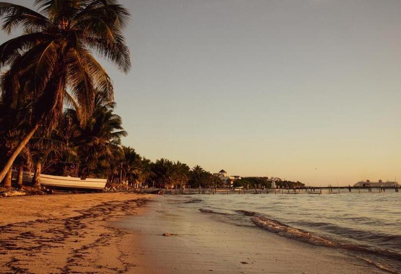 Отель Luna De Plata