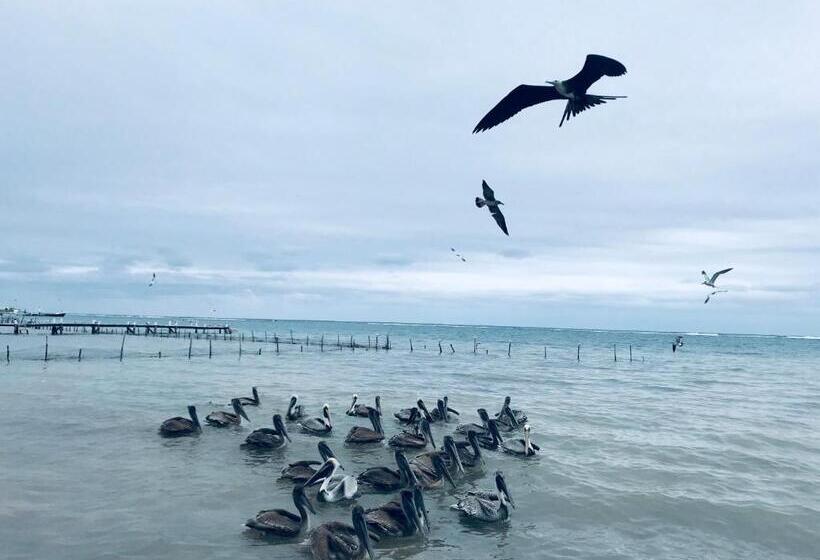 호텔 Luna De Plata