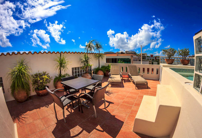 Fotos del hotel Royal Palms By Bric:  8