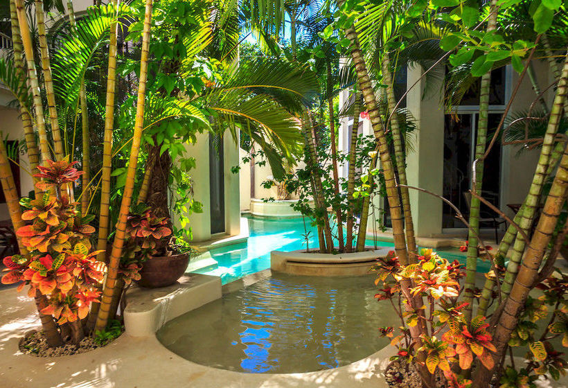 Fotos del hotel Royal Palms By Bric:  34