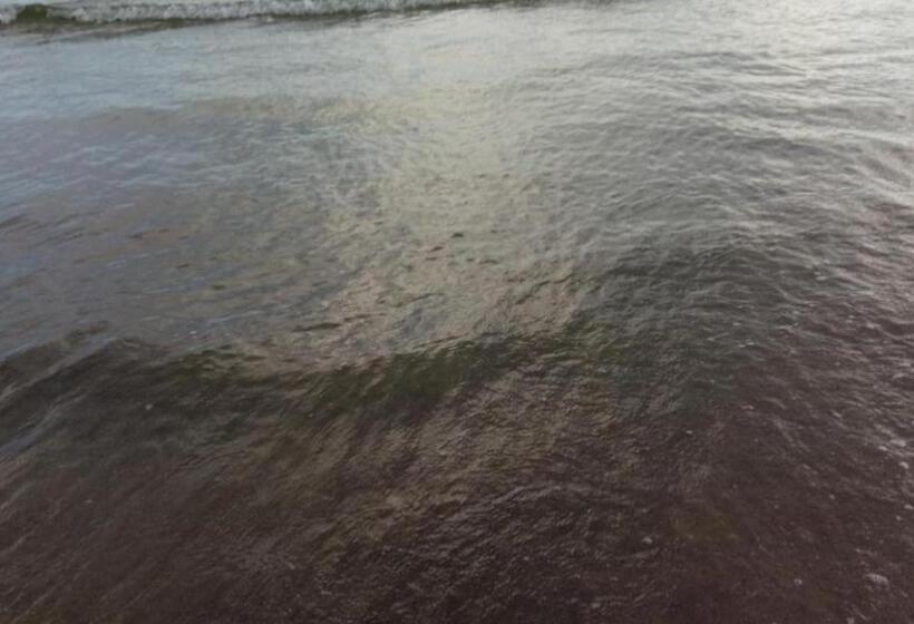 Отель Sonhos Meu Pousada