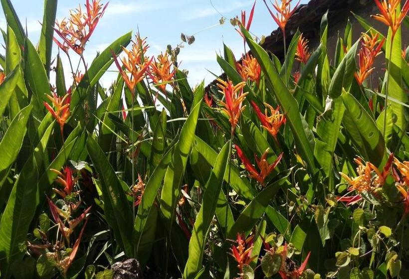 Отель Sonhos Meu Pousada