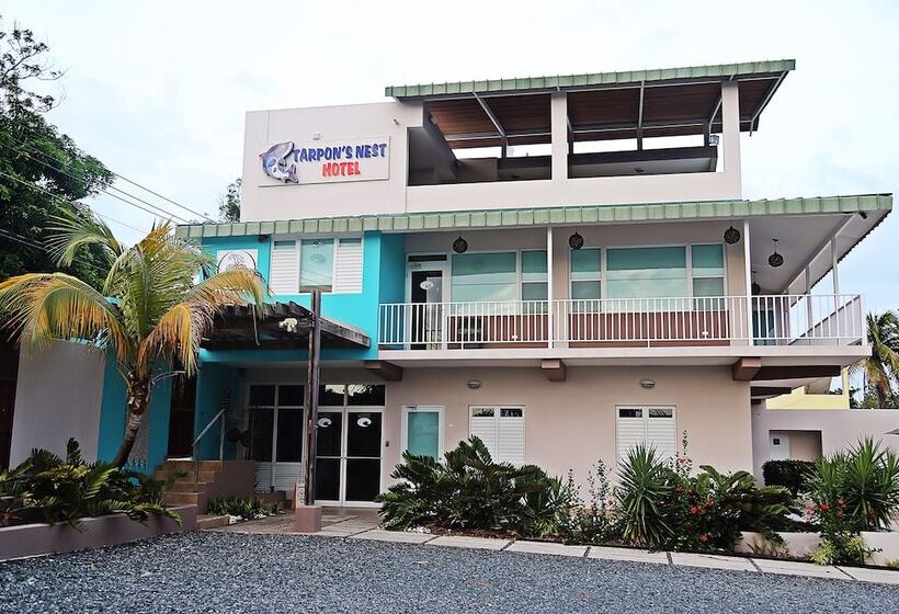 Отель Tarpon's Nest Lodge