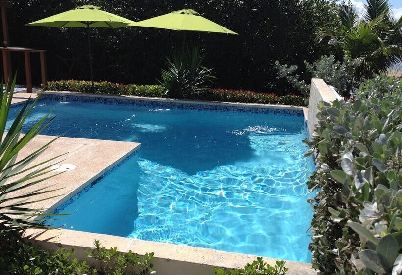 Отель Tarpon's Nest Lodge