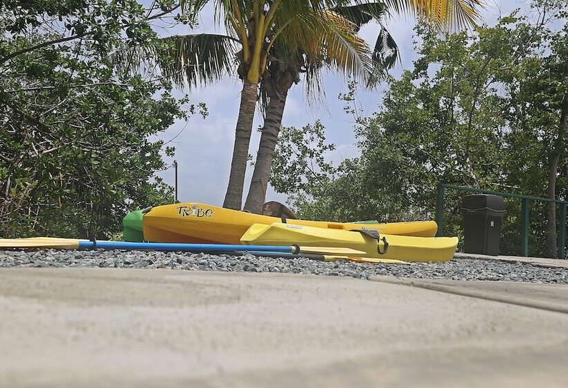 Отель Tarpon's Nest Lodge