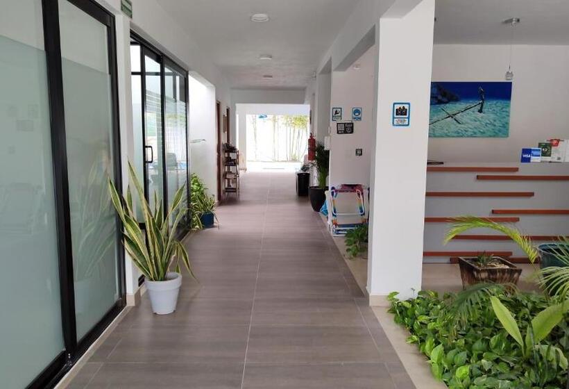 ホテル Vela S Condos Ocean Front