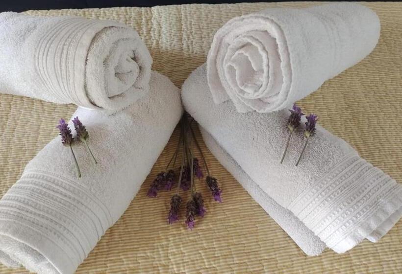 ホテル Village Park