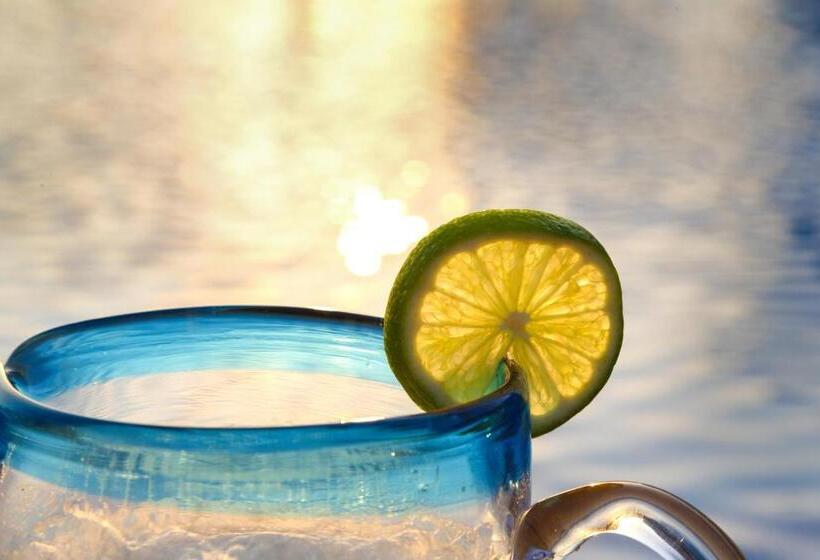 בית מלון כפרי Vpx