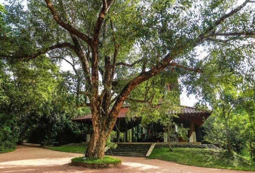 Отель Wild Grass Nature Resort