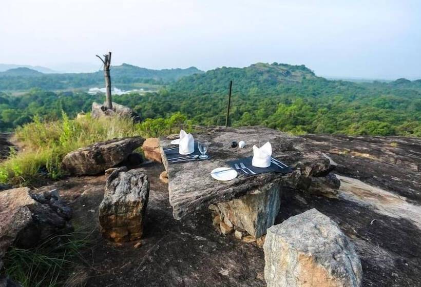 Отель Wild Grass Nature Resort