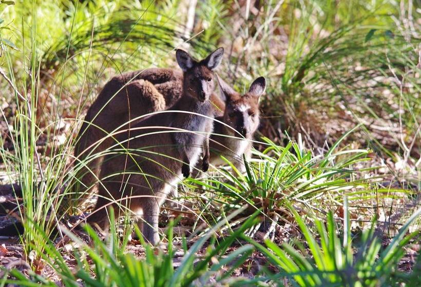فندق Yelverton Brook Conservation Sanctuary