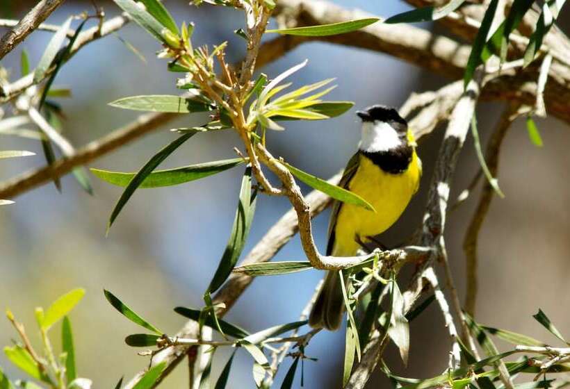 فندق Yelverton Brook Conservation Sanctuary