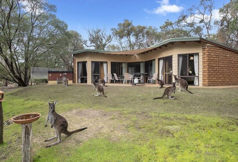 فندق Yelverton Brook Conservation Sanctuary