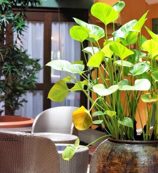 בית מלון כפרי Yeng Keng