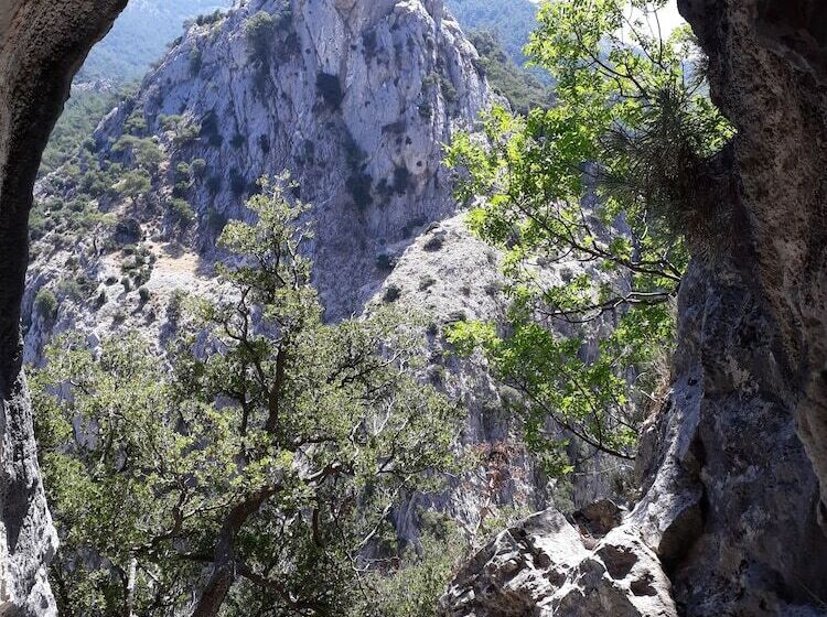 Meltemia Studios Samos