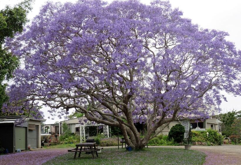 מוטל Ecotel Narooma