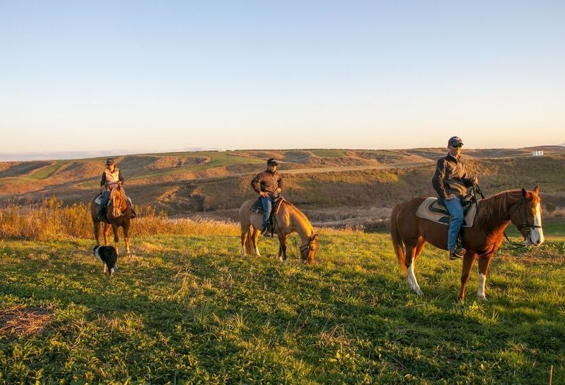 پانسیون El Patio Ranch